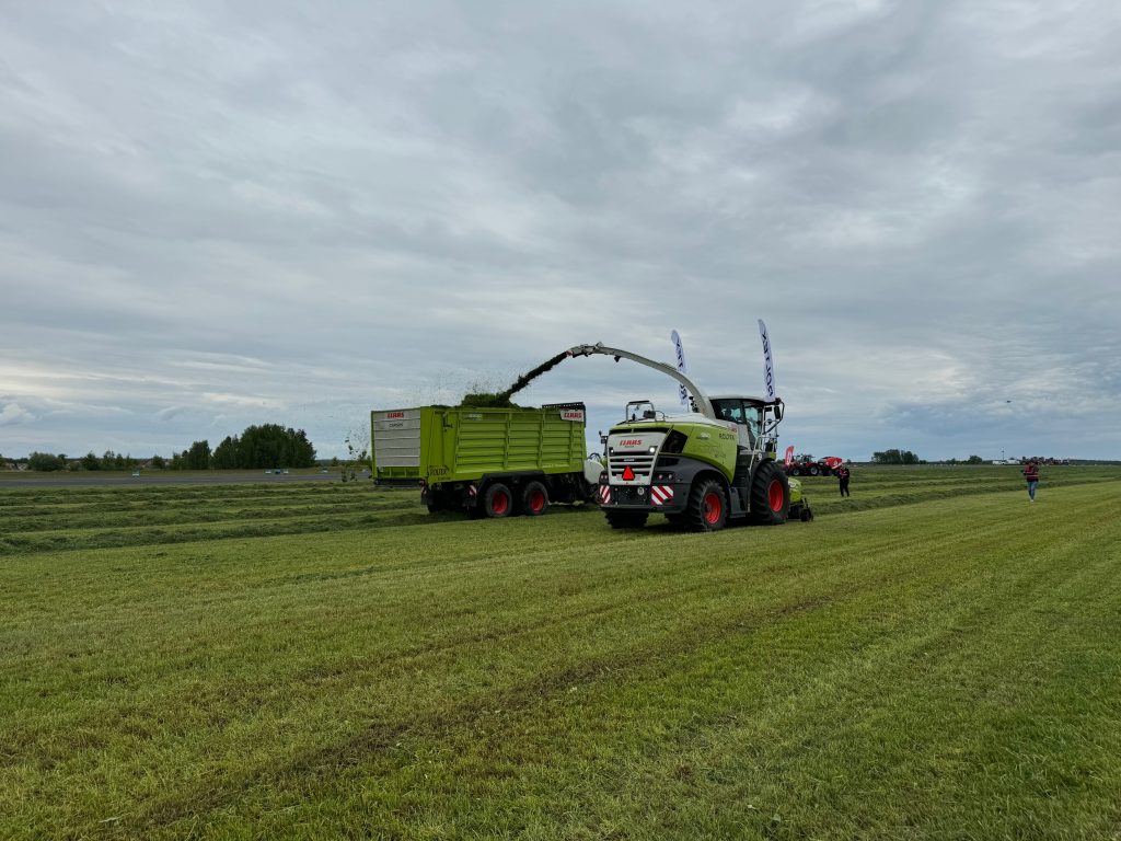 zielone agro show