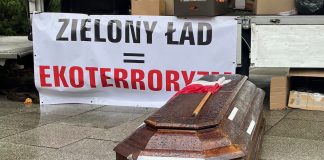 Ekoschematy