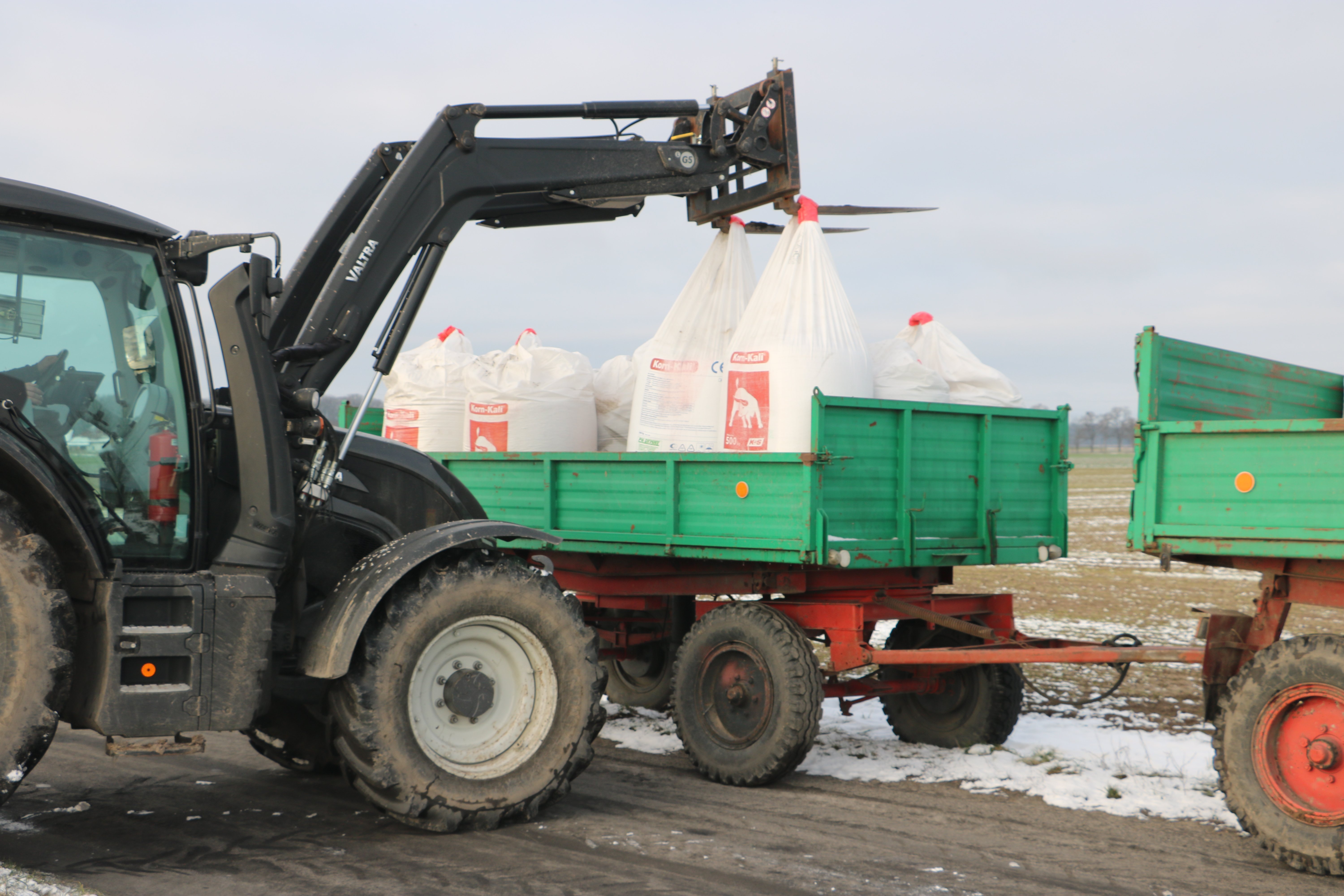 Topowy Korn Kali z nowym składem – 38% potasu. Dlaczego niemiecki producent obniżył zawartość?