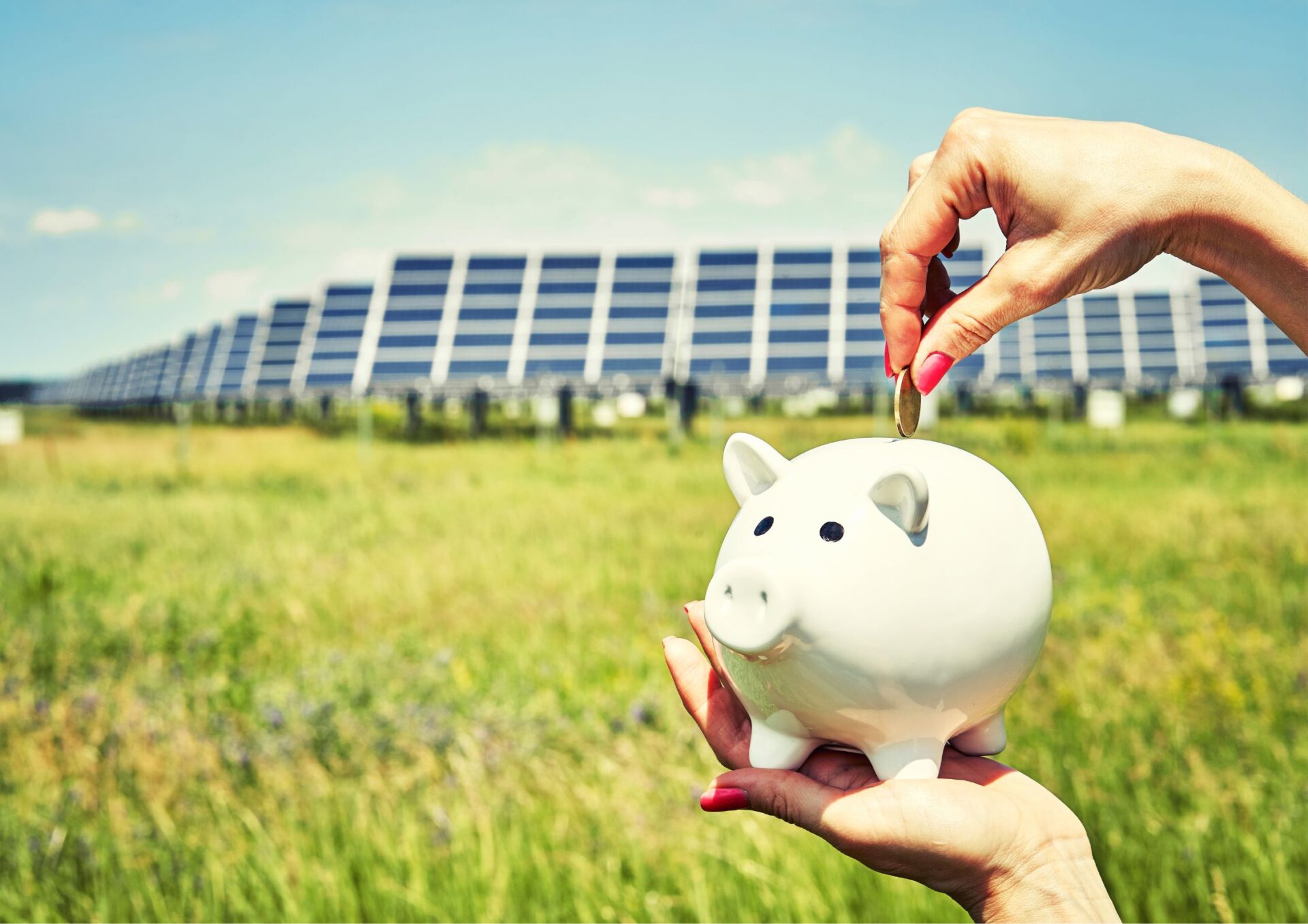 Dzierżawa ziemi pod fotowoltaikę. Ile można zarobić?