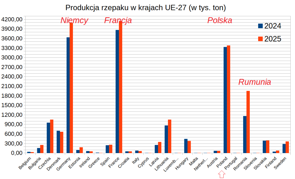 Produkcja rzepaku w Polsce powinna wzrosnąć w 2025 roku
