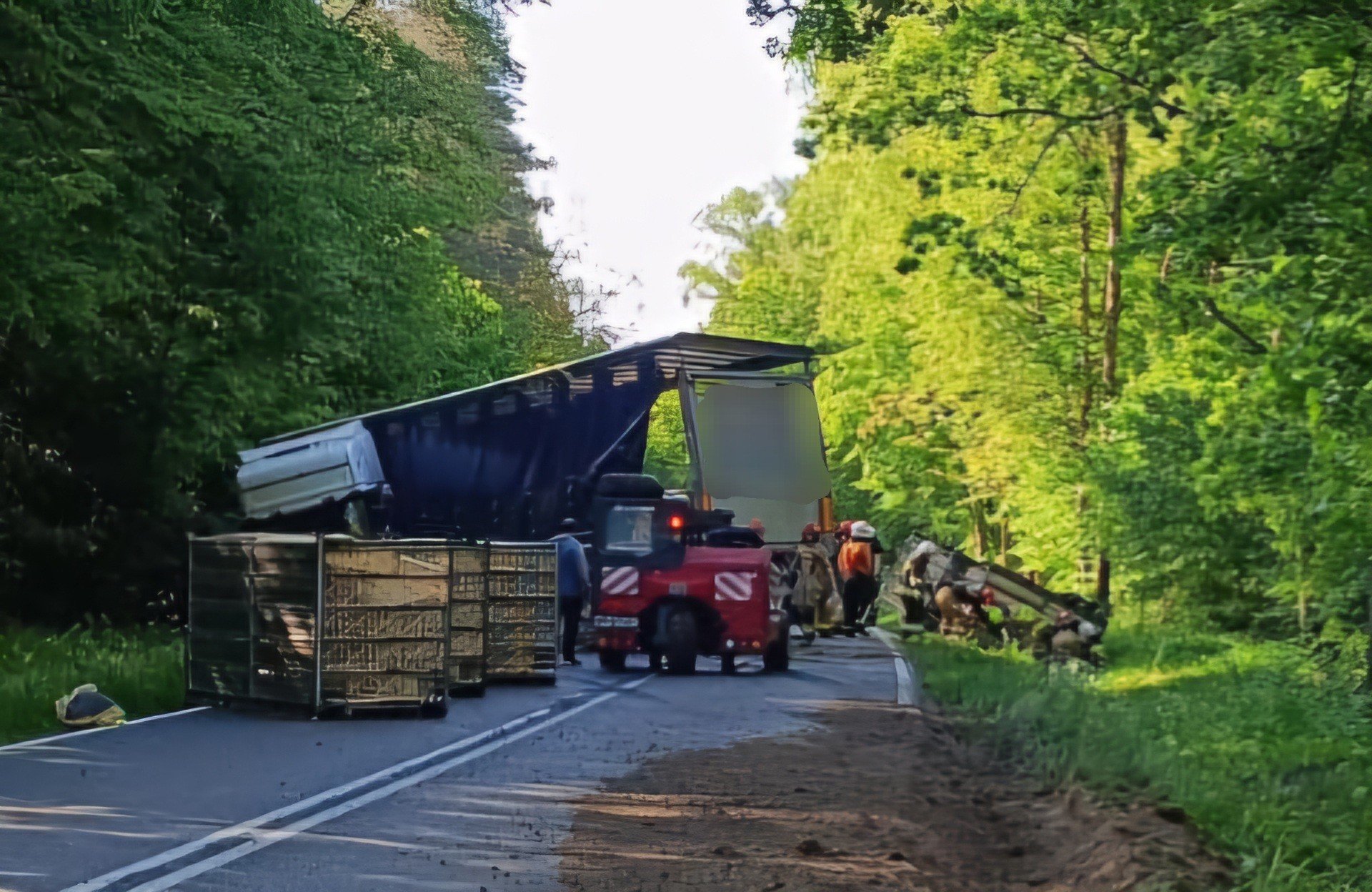 Ciężarówka z kurczakami w rowie! 