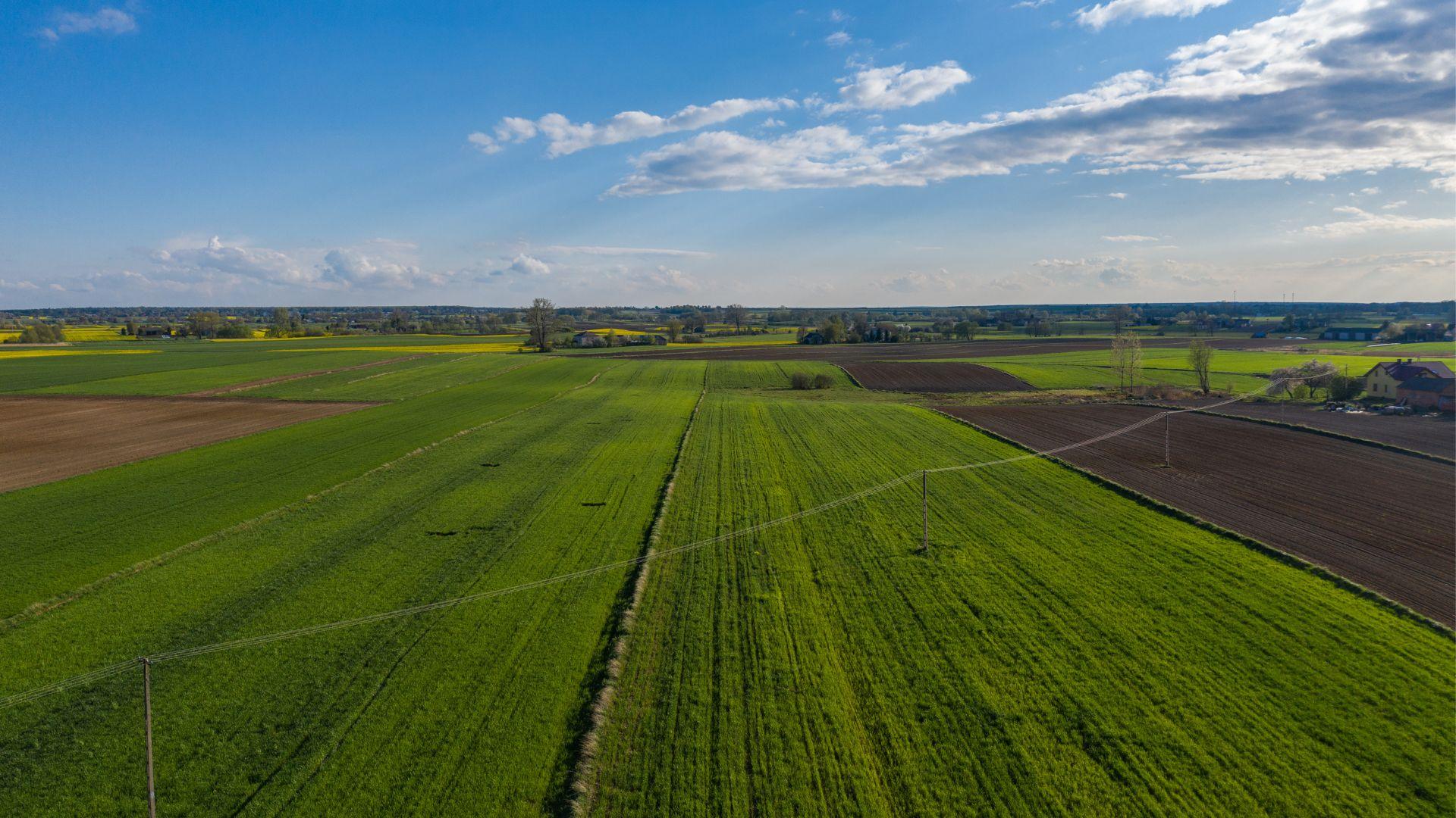 WPR 2021–2027: Zielona rewolucja czy cichy koniec polskiego rolnictwa?