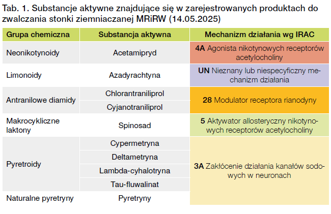 Szkodniki ziemniaków. Jak chronić plantację od stonki, mszyc i nicieni? 5 Insketycydy ziemniak