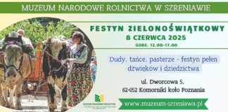 Festyn Zielonoświątkowy w Szreniawie