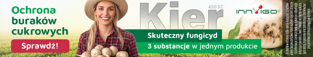 Chwościk buraka - skuteczna ochrona i strategia zapobiegania odporności na patogen 2 Ochrona buraków cukrowych - Chwościk buraka