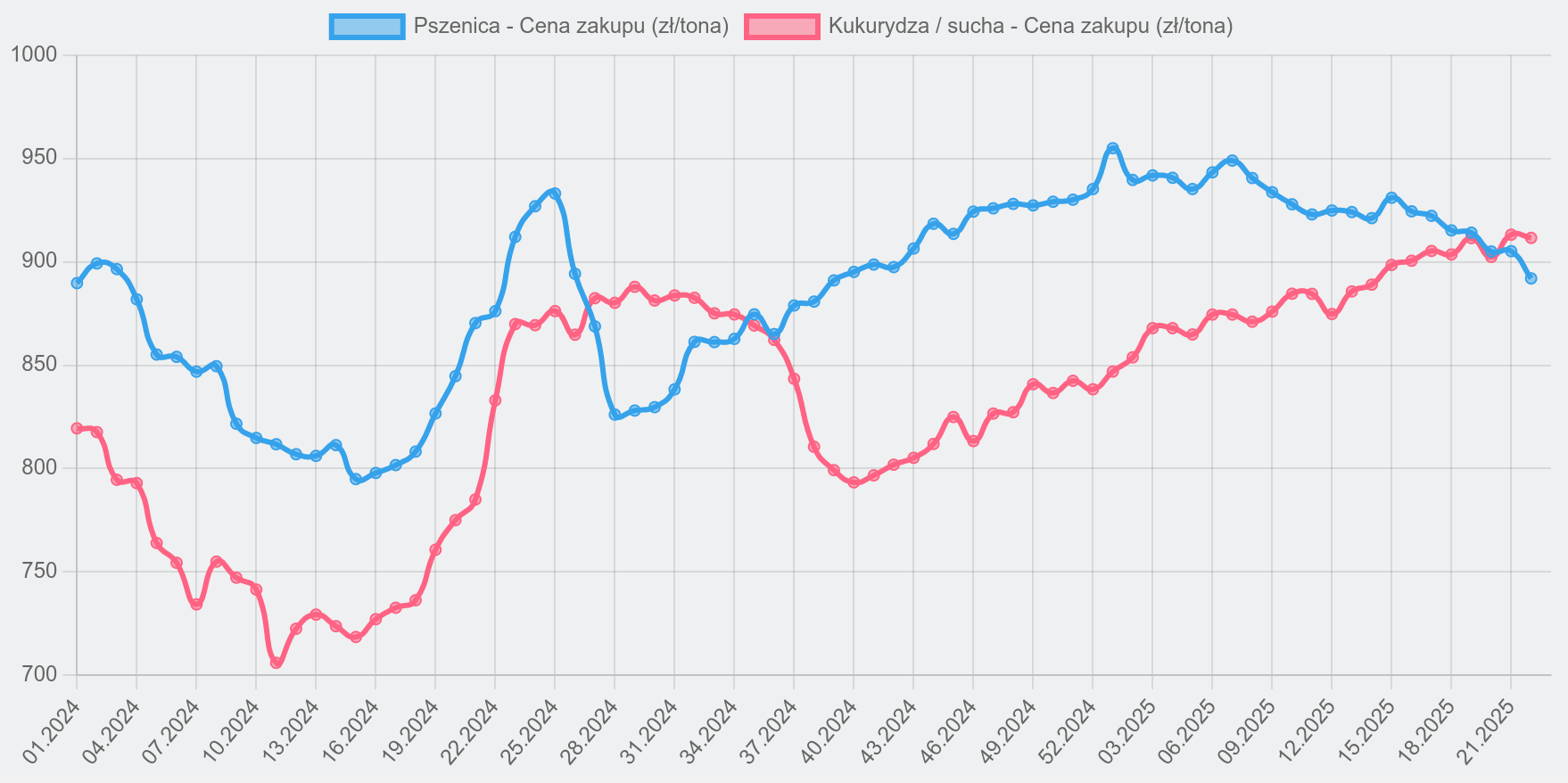 Jakie będą ceny zbóż i rzepaku w 2025 i 2026 roku? – krajowa prognoza