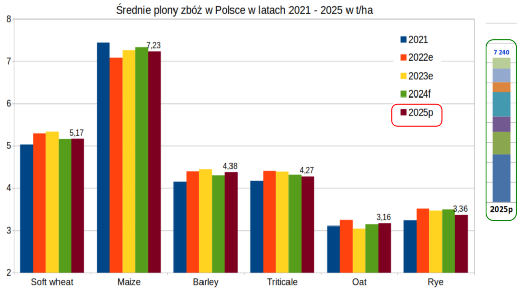 Zbiory zbóż w Polsce powinny być zbliżone do ubiegłorocznych - KE 3