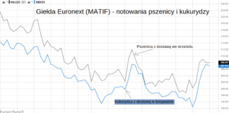 Zboża drożały na Matif