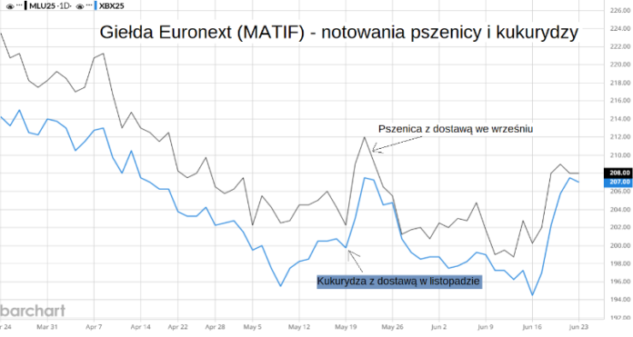 Zboża drożały na Matif