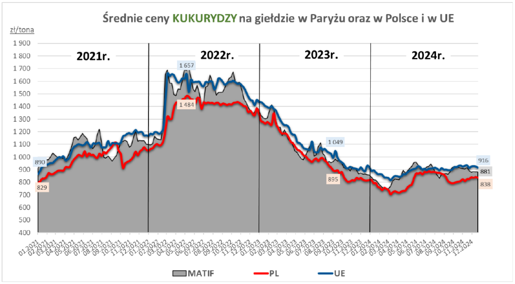 Ceny zbóż w Polsce i w innych krajach UE są do siebie zbliżone 6
