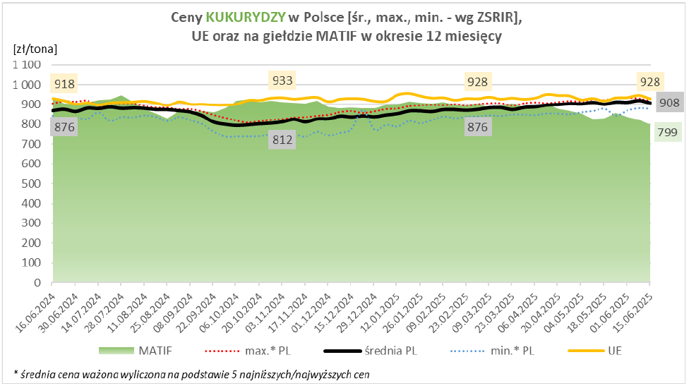 Ceny zbóż w Polsce i w innych krajach UE są do siebie zbliżone 5