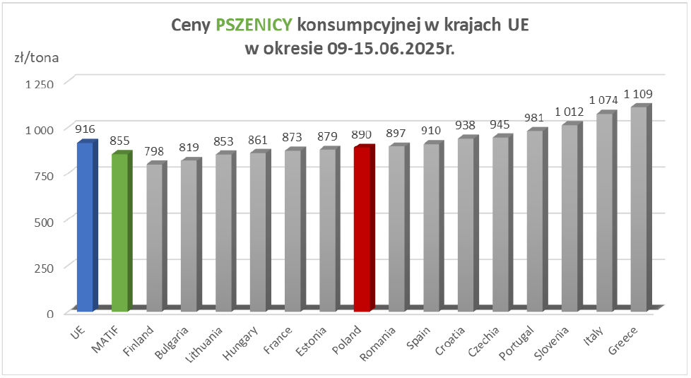 Ceny zbóż w Polsce i w innych krajach UE są do siebie zbliżone 1