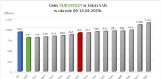 Ceny pszenicy w UE i w kraju