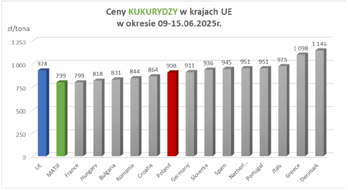 Ceny pszenicy w UE i w kraju
