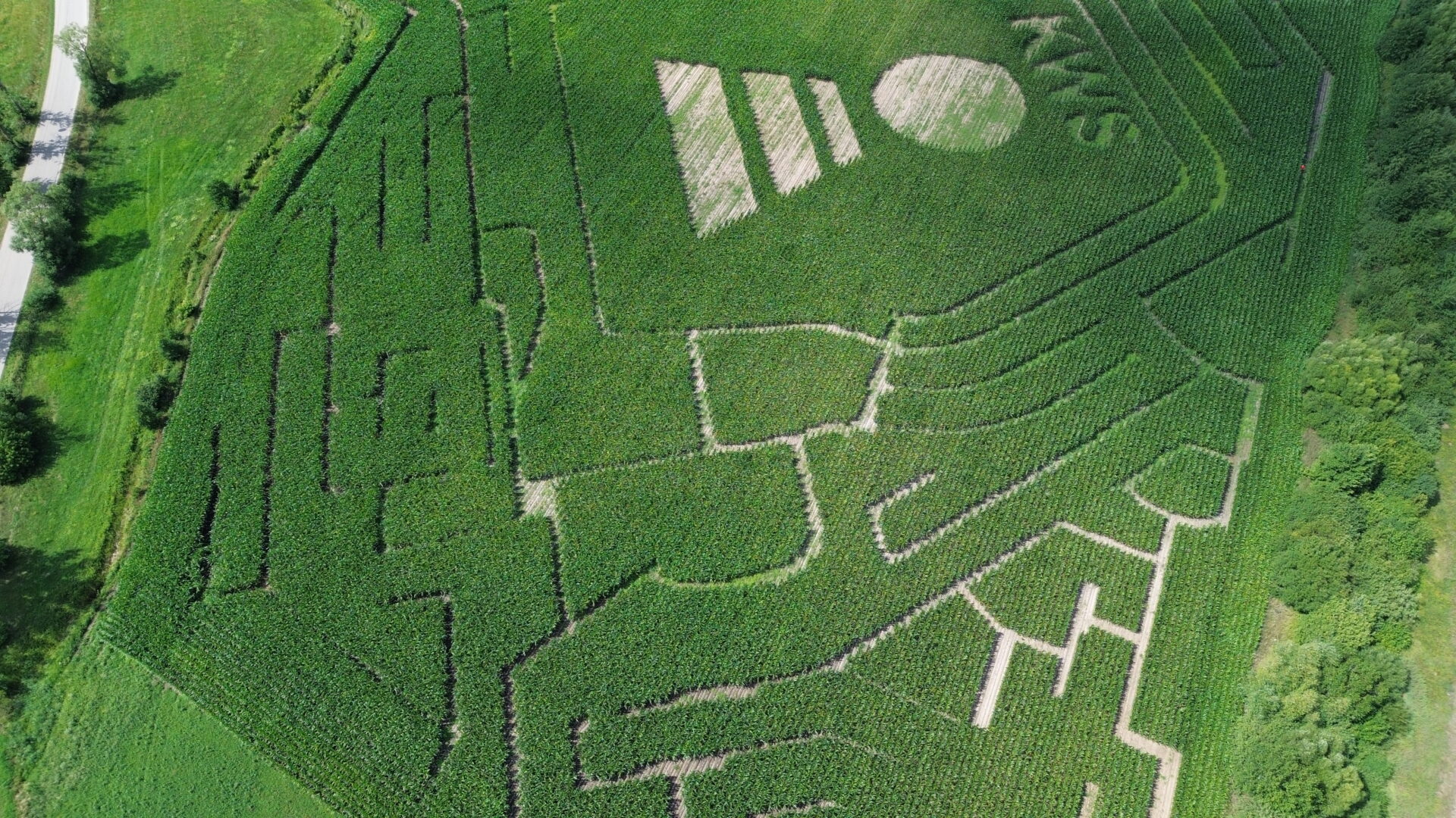 Odczarować konopię. Podlaski labirynt w kukurydzy i nie tylko 