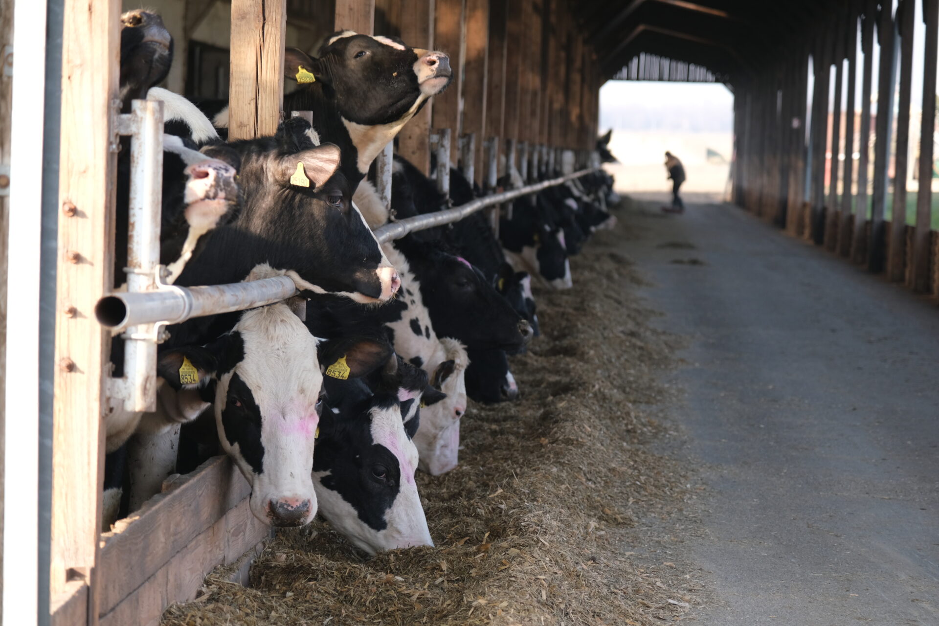 Przetargi na ziemię po Top Farms na Opolszczyźnie