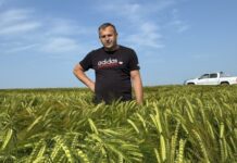 nawozy naturalne i uprawa bezorkowa