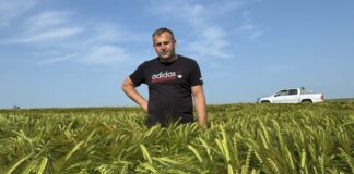nawozy naturalne i uprawa bezorkowa
