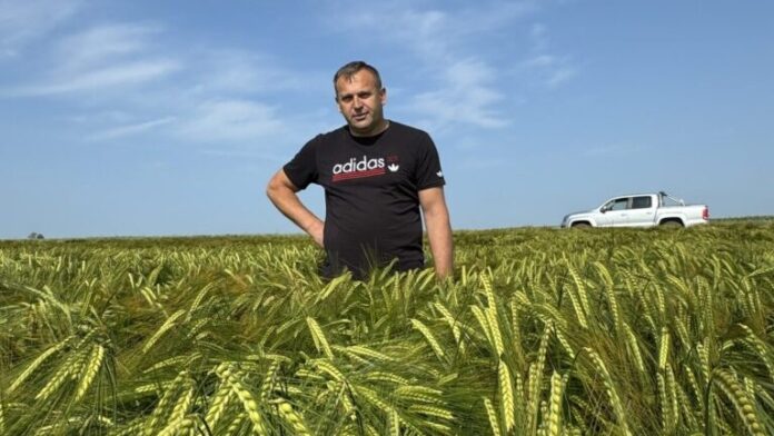 nawozy naturalne i uprawa bezorkowa