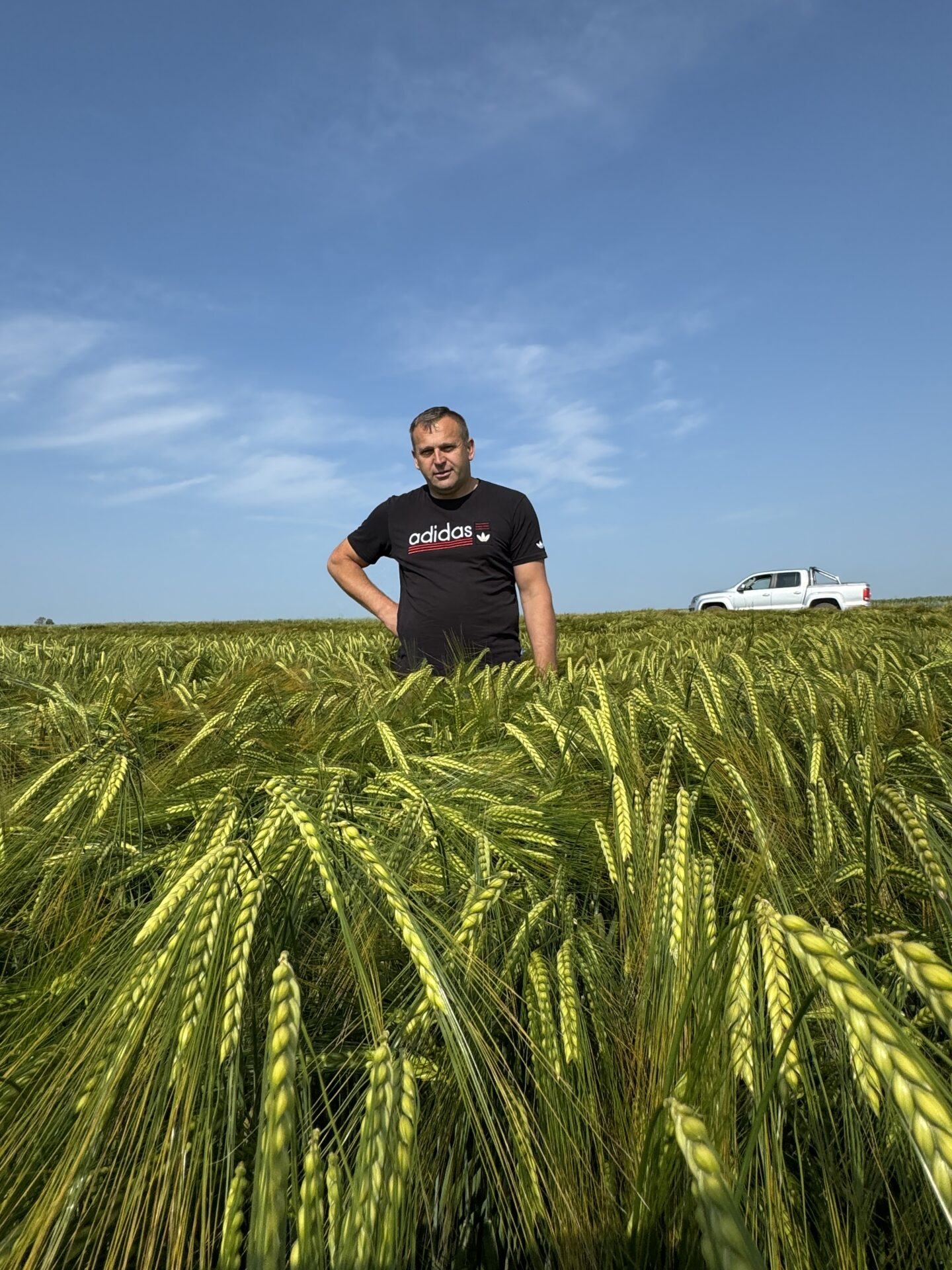 Podstawa to nawozy naturalne