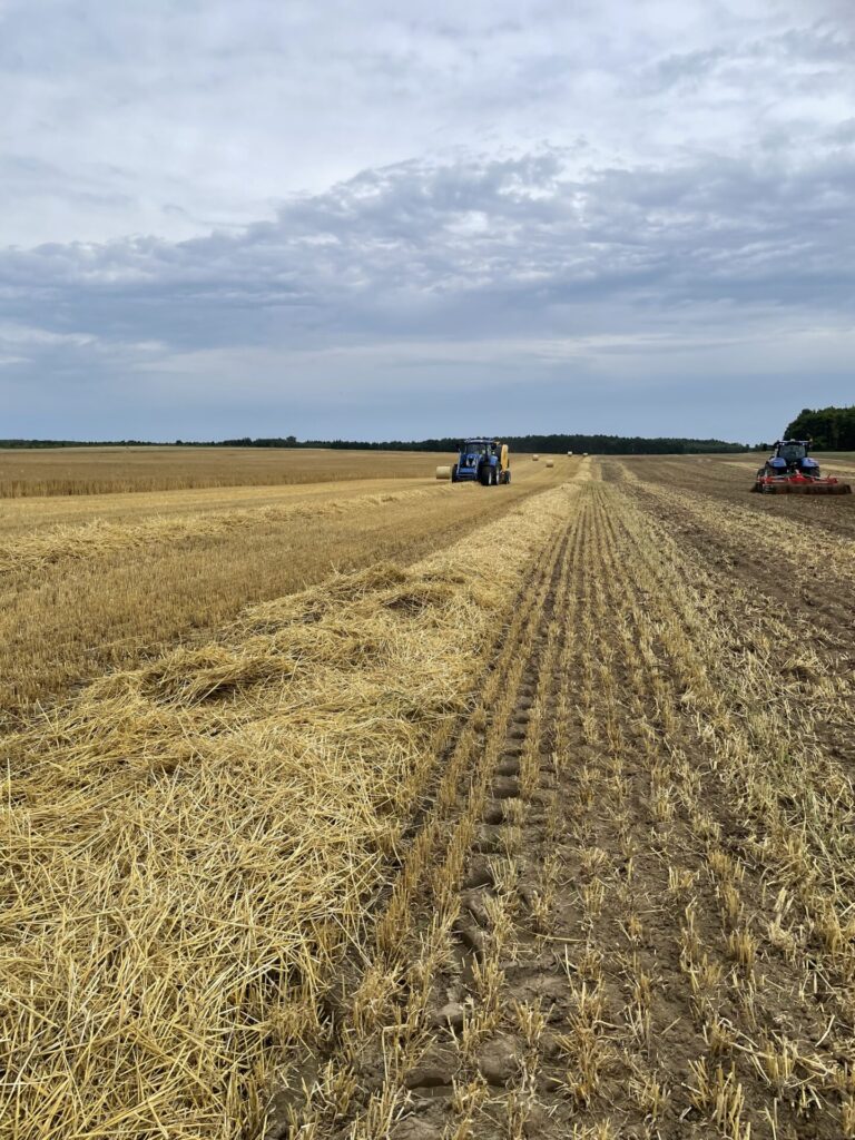 Ceny usług żniwnych - lato 2025. Ile za zbiór zbóż? Ile za bele? 1 Ceny usług żniwnych