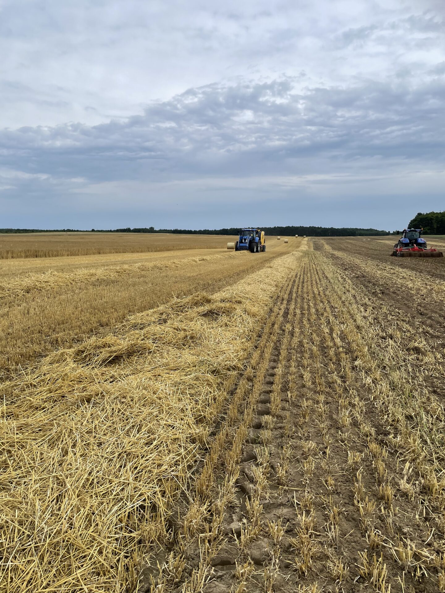 Ceny usług żniwnych