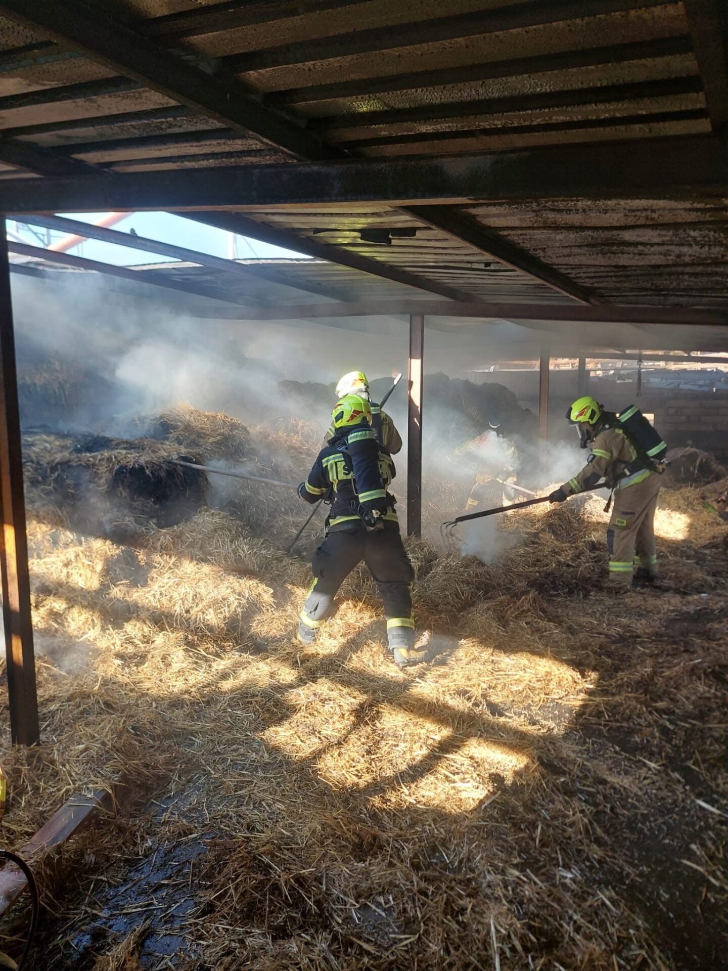 Duży pożar chlewni pod Poznaniem. Zwierzęta ewakuowano w porę