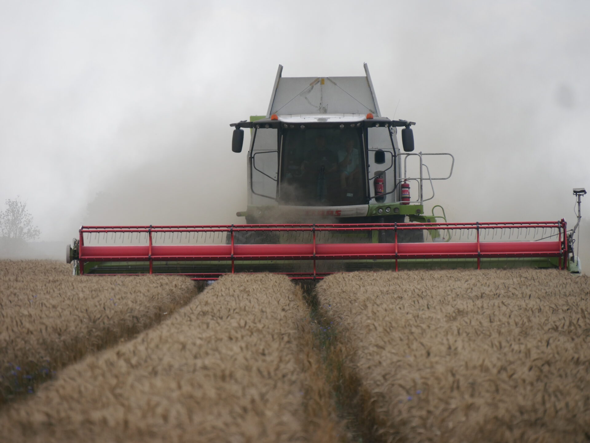 Duże żniwa na Opolszczyźnie w pełni