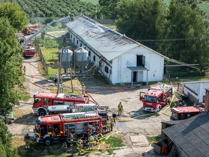 Fot. Komenda Powiatowa Państwowej Straży Pożarnej w Sochaczewie