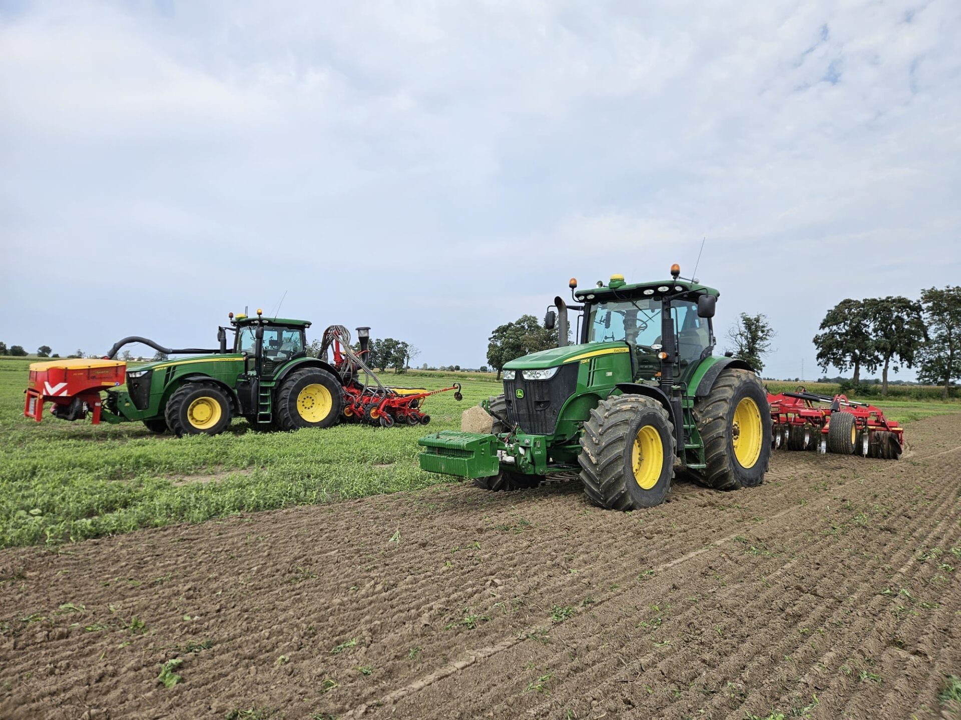 Odmiany rzepaku Limagrain w praktyce. Sprawdzamy opinie rolnika