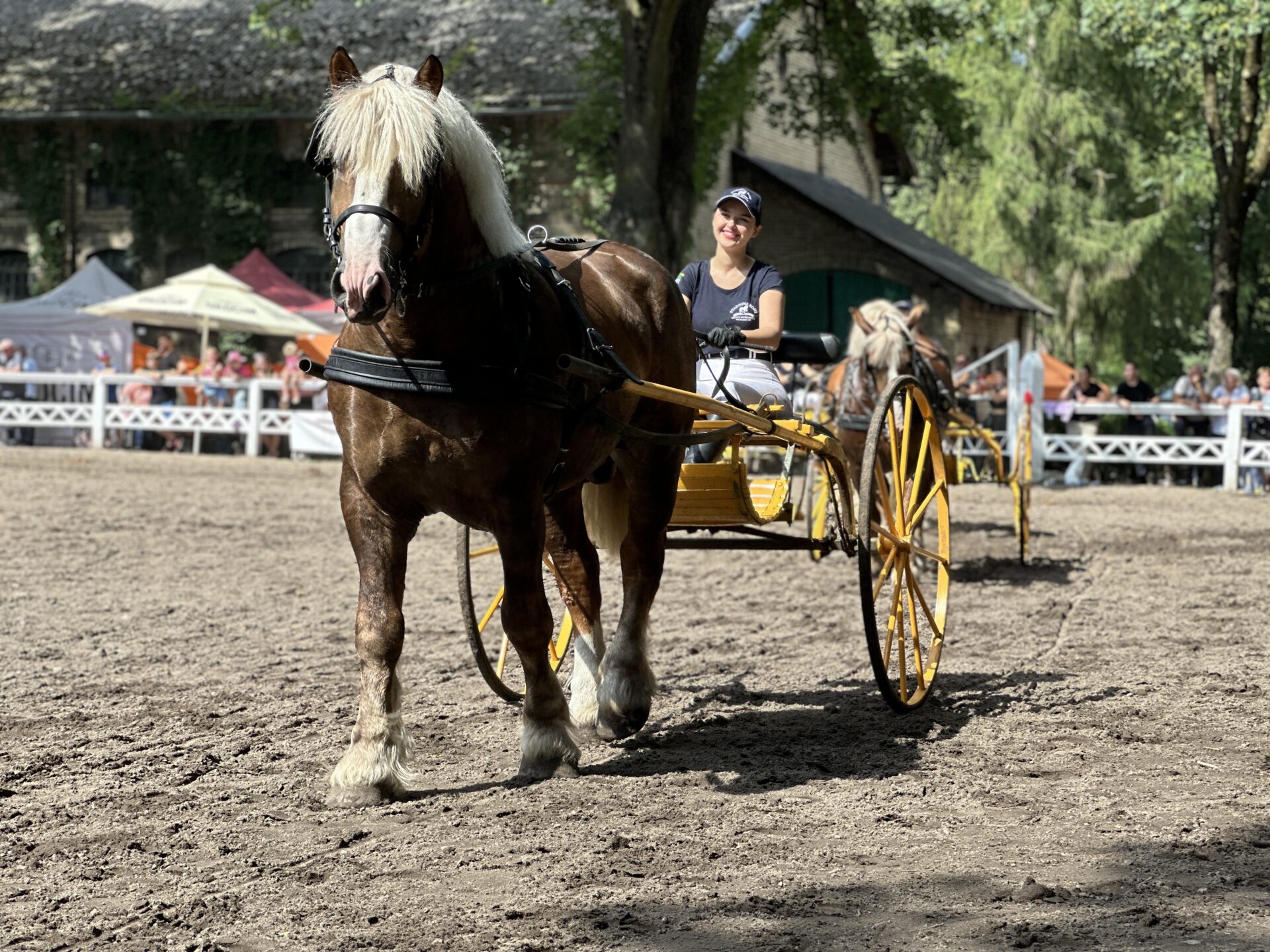 Święto konia zimnokrwistego w Kętrzynie!
