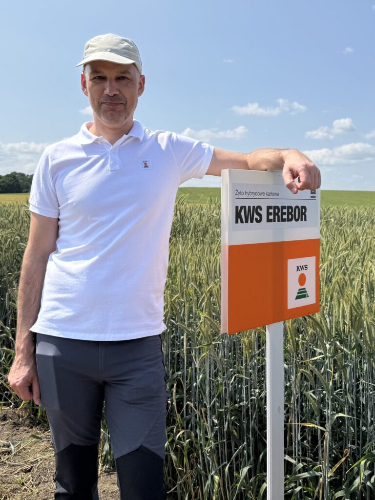 KWS prezentuje dorobek hodowlany. Nowe żyto i innowacyjne rzepaki 2