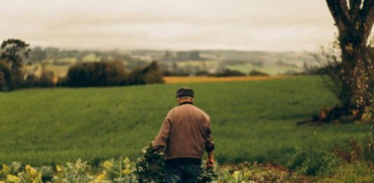 Bezpieczne Gospodarstwo Rolne KRUS
