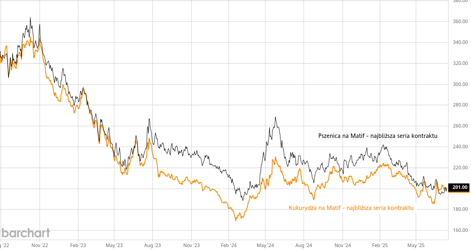 Produkcja zbóż na świecie wzrośnie w okresie 2025/26 – USDA