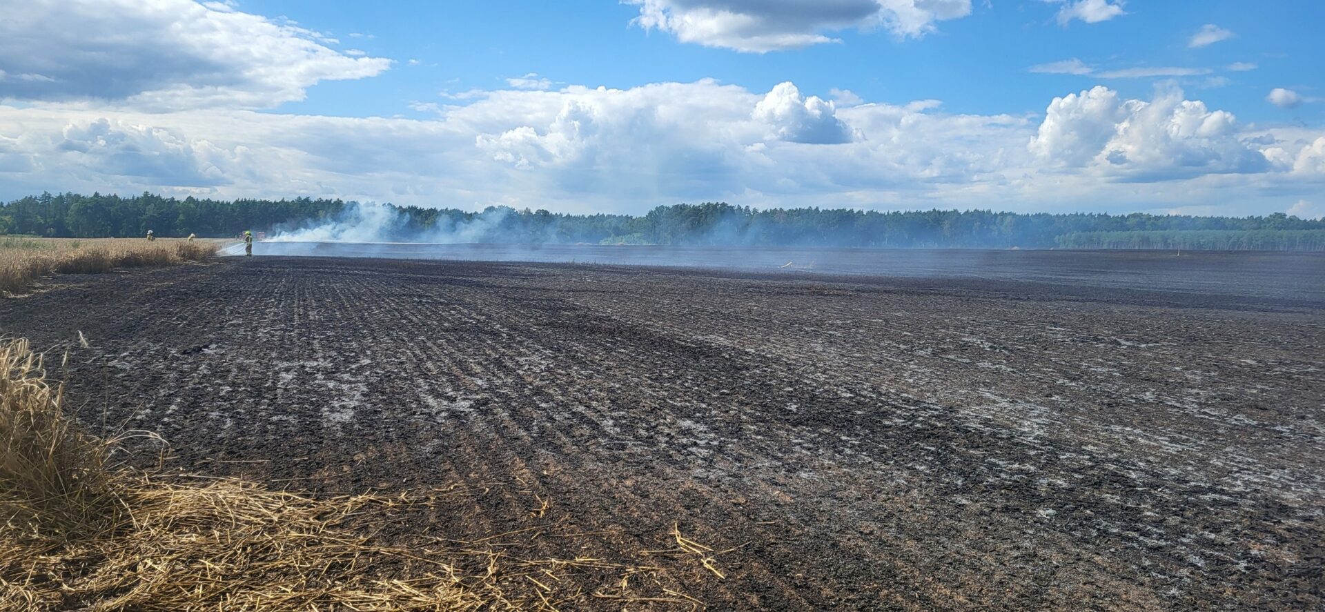 Czarne kłęby dymu. SPŁONĘŁO 20 HA ZBOŻA POD STARGARDEM!