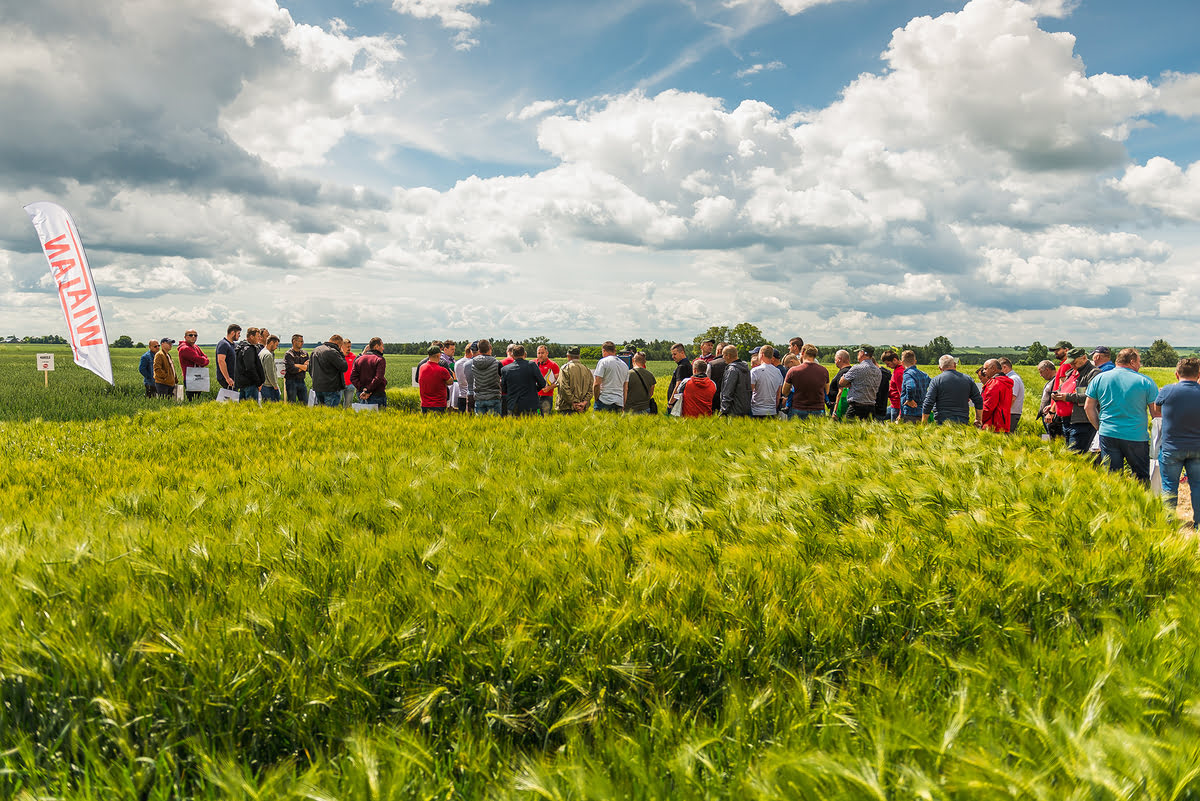 Dni Pola WIALAN 2025 – odmiany, doświadczenia i technologie przyszłości