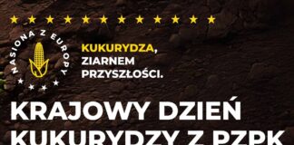KRAJOWY DZIEŃ KUKURYDZY W SZEPIETOWIE