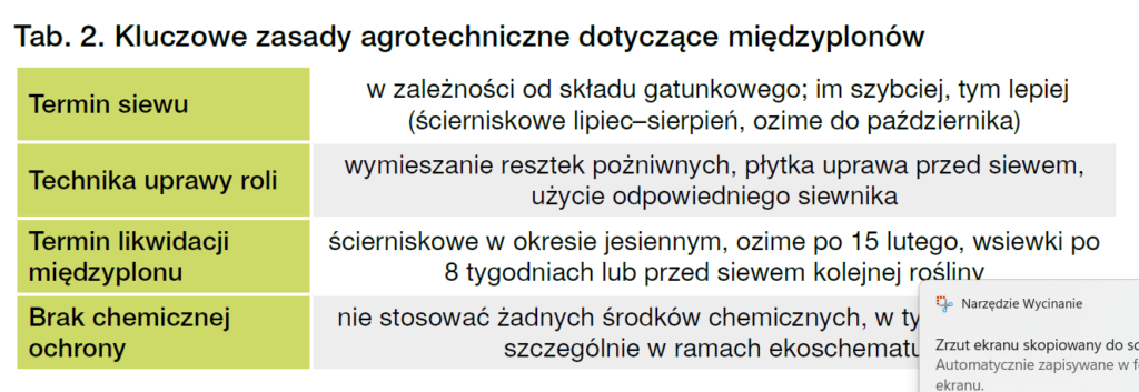 Międzyplony - jak i kiedy siać? 3 rodzaje i różne terminy 3