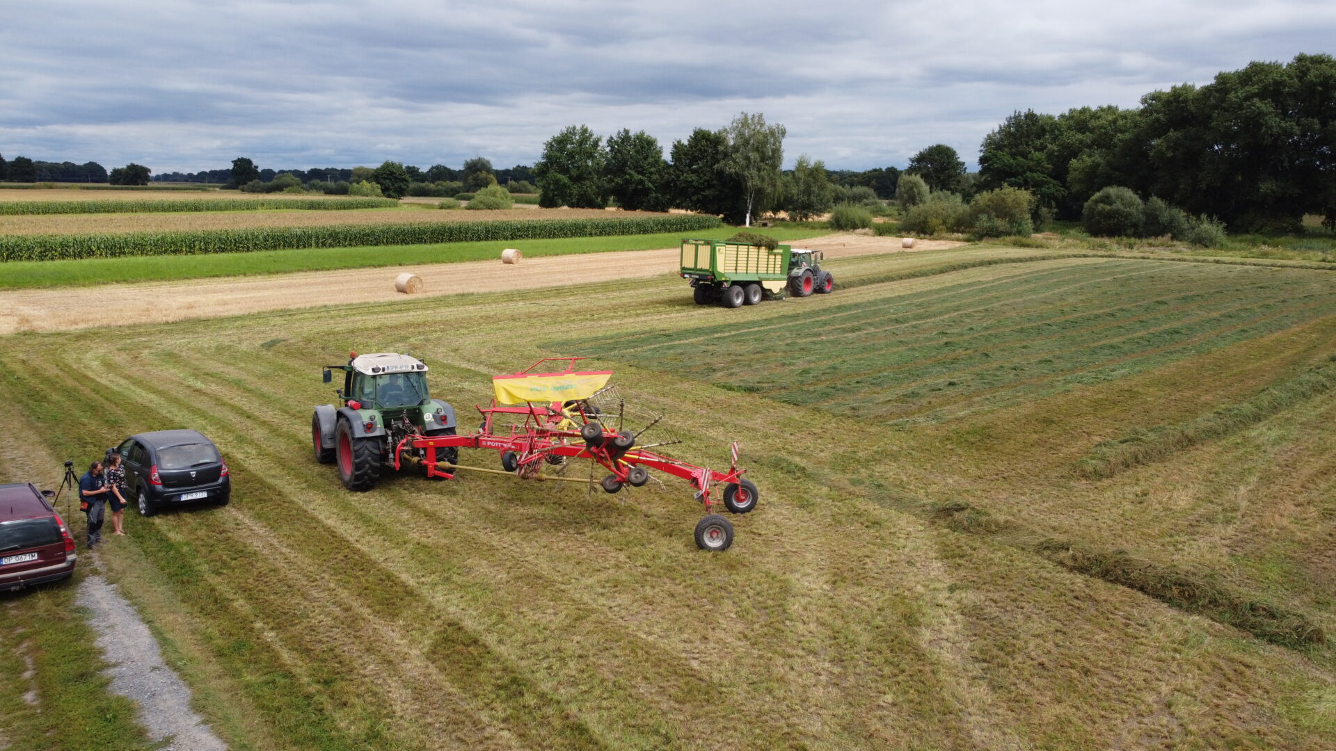 Sianokosy, zbiory zielonek i robienie kiszonki – czy zabraknie paszy?