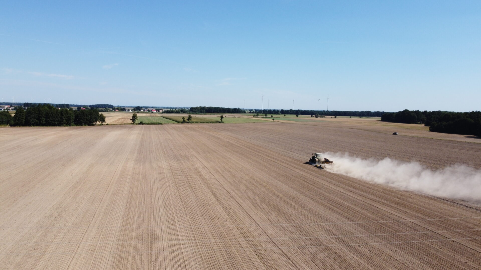 Czy będzie mniej rzepaku?