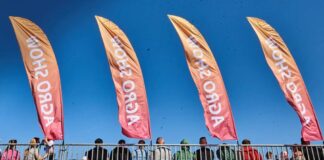 SPRAWDŹ czego można się spodziewać podczas Agro Show 2025?