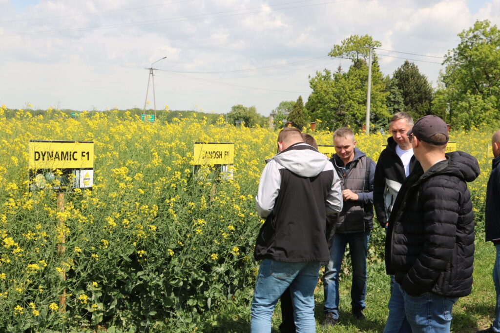 Rapool Xperience – platforma pełna doświadczeń 2