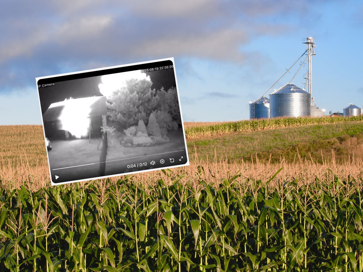 Osiny: niezidentyfikowany obiekt spadł na pole! To dron wojskowy? [WIDEO]