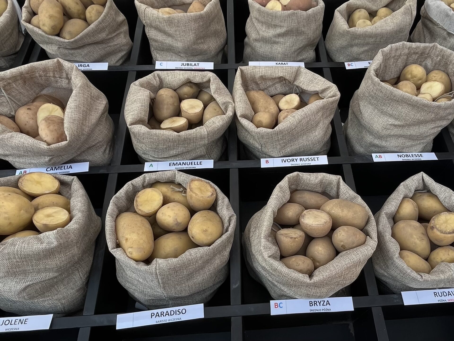 Integrowana Produkcja ziemniaka. 16 najważniejszych zagadnień