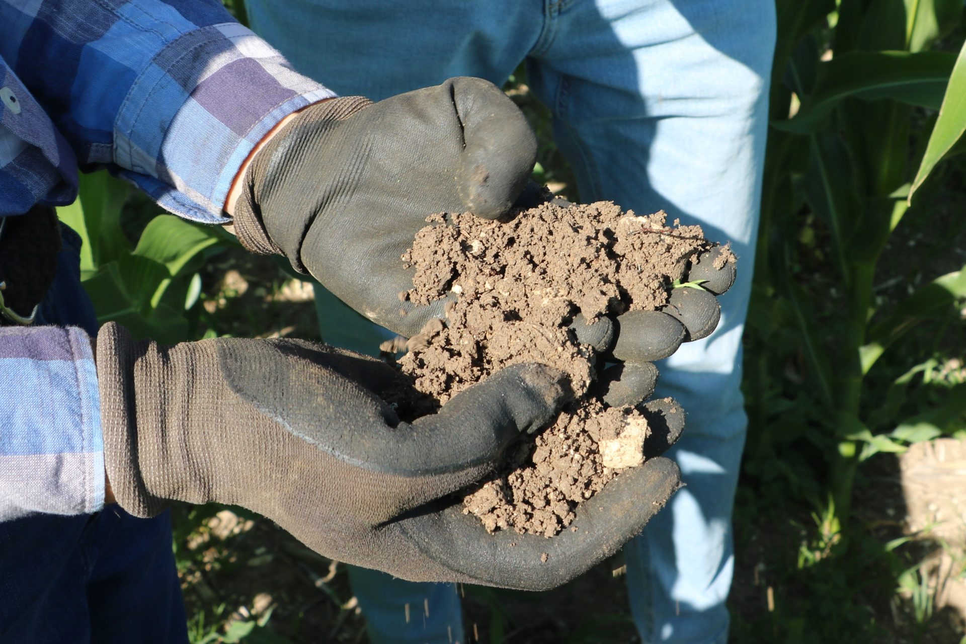 Marcin Gryn i jego innowacyjne podejście do rolnictwa. Od 13 lat bez pługa!