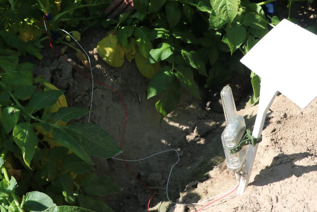 Marcin Gryn i jego innowacyjne podejście do rolnictwa. Od 13 lat bez pługa! 4