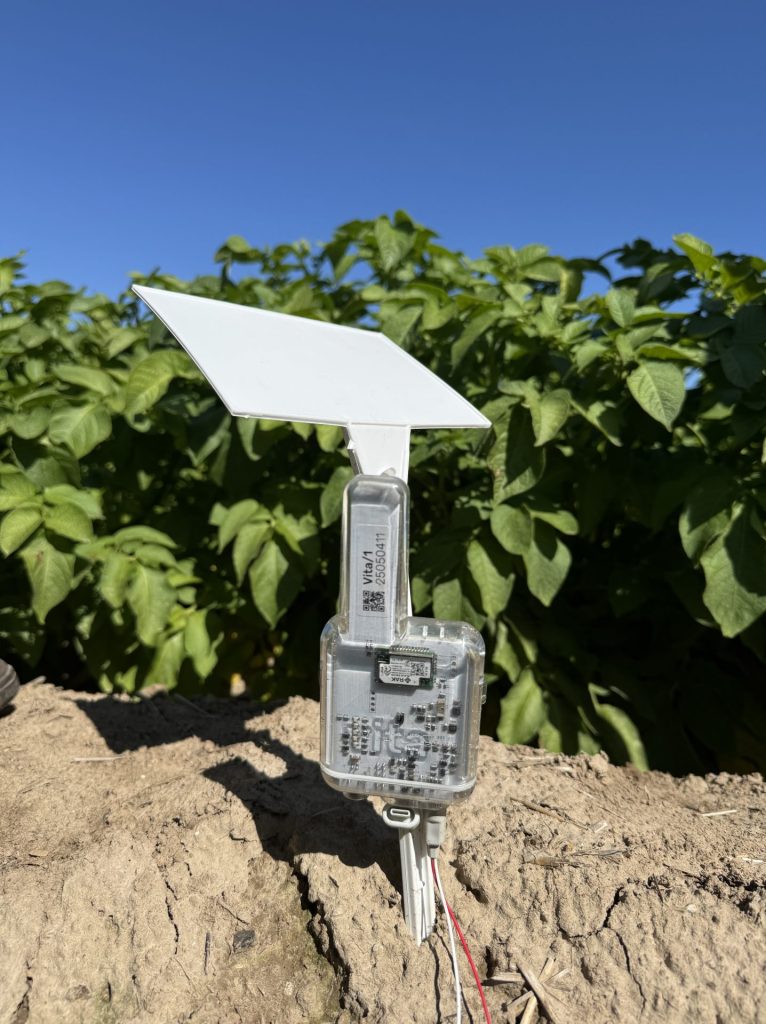 Marcin Gryn i jego innowacyjne podejście do rolnictwa. Od 13 lat bez pługa! 3