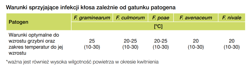 Zabieg T3 w zbożach – choroby kłosa nie są łatwym przeciwnikiem 3