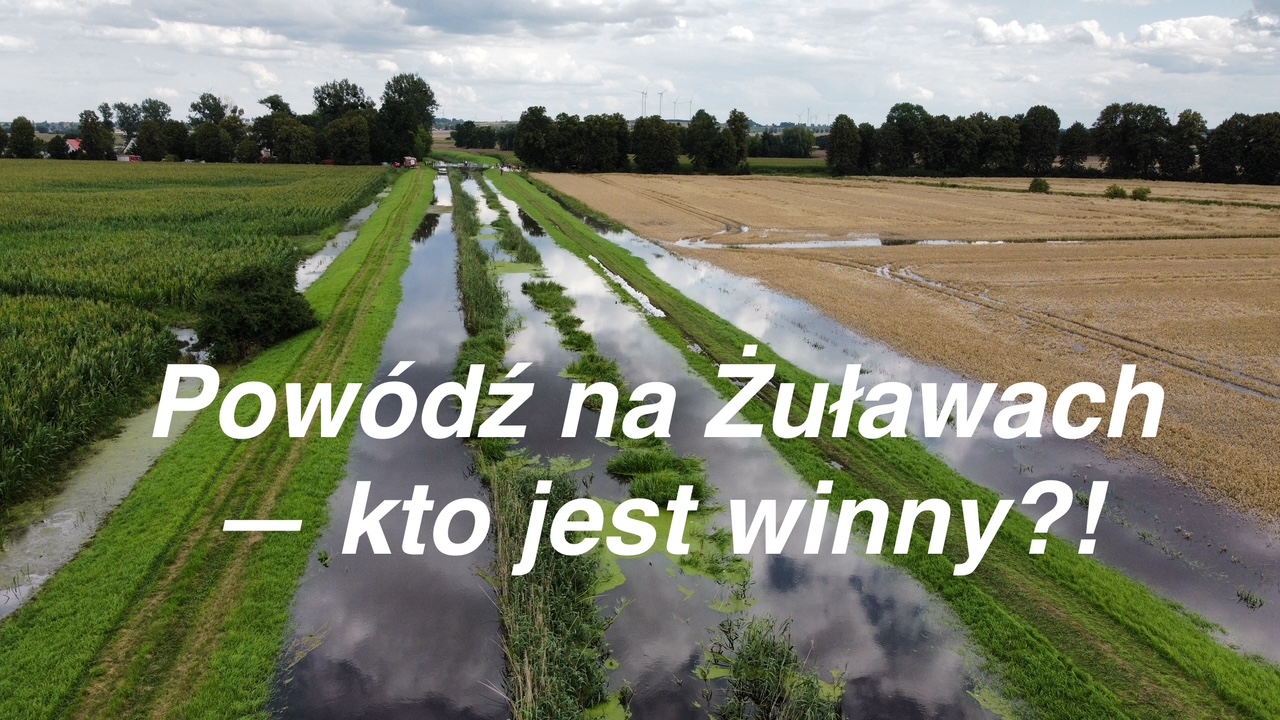 Powódź na Żuławach po intensywnych opadach. Dlaczego Polska nie bierze przykładu z Holandii? [WIDEO]